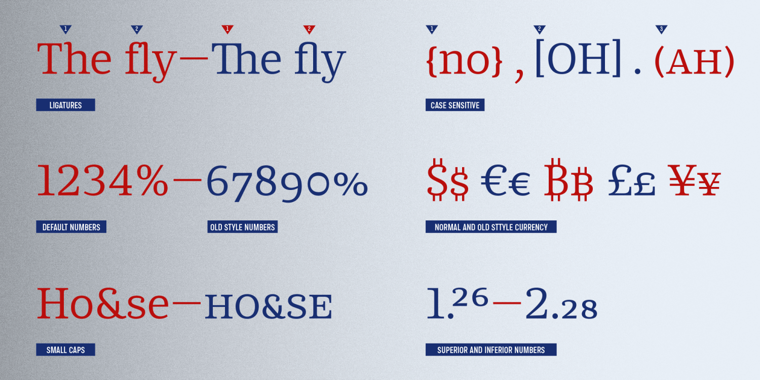 Chucara Next Font Poster #1