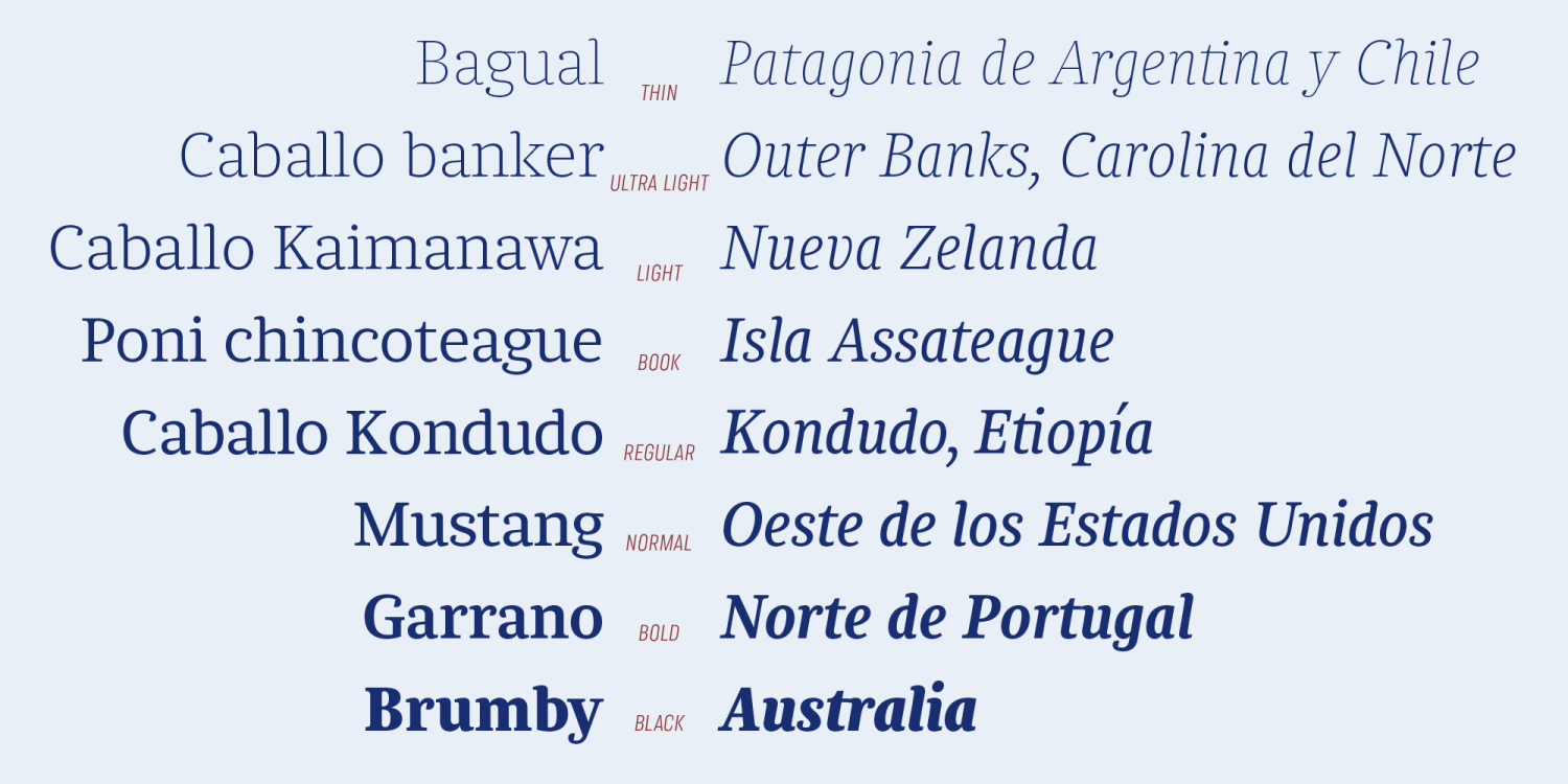 Chucara Next Font Poster #1
