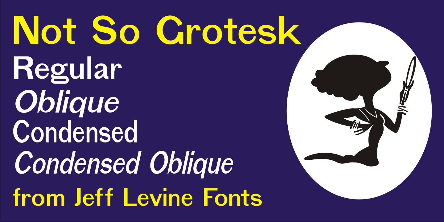 Not So Grotesk Font Family Poster