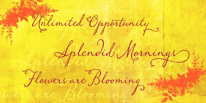 Memoir Font Poster #1