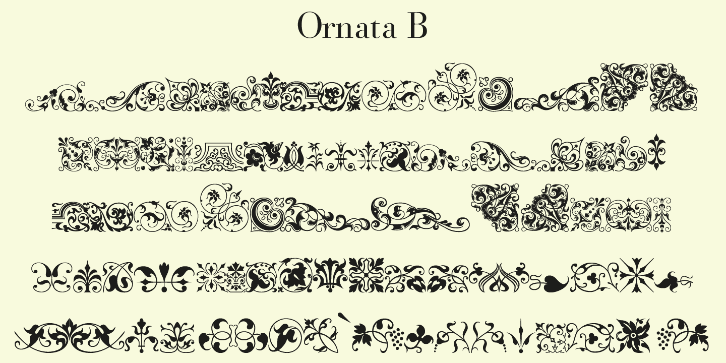 Ornata B Poster