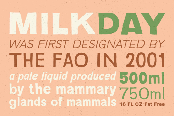 YWFT Absent Grotesque Bold Font Poster #1