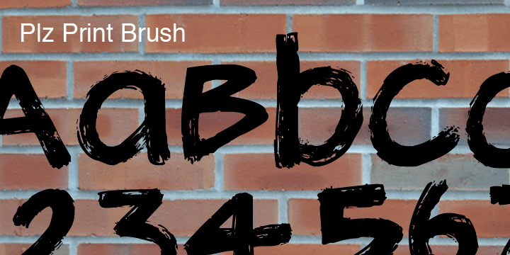 Plz Print Brush Poster
