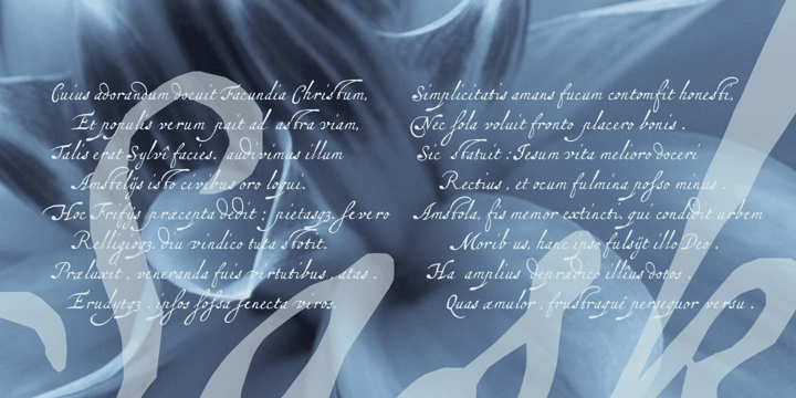 Saskya Font Poster #1