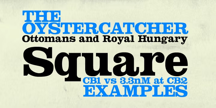 Squarendon Font Family Poster