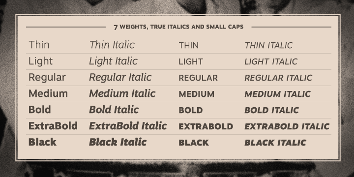 Motiva Sans Font Poster #1