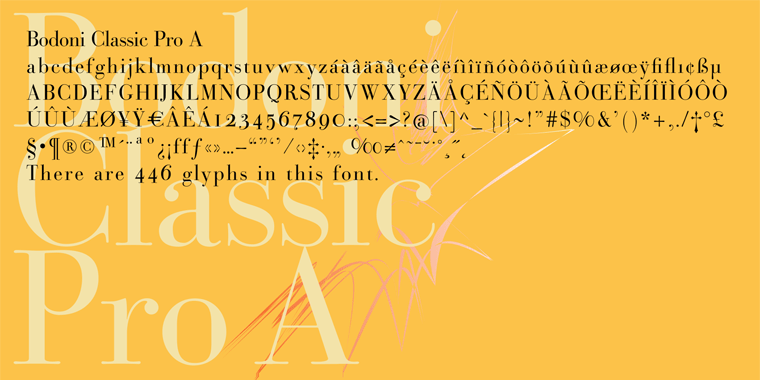 Bodoni Classic Pro Poster