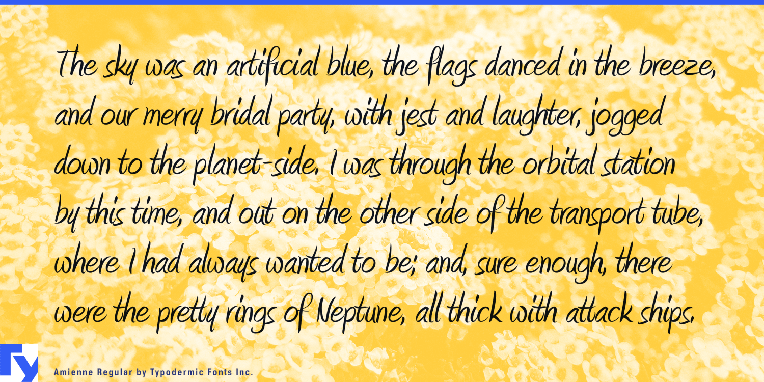 Amienne Font Poster #1