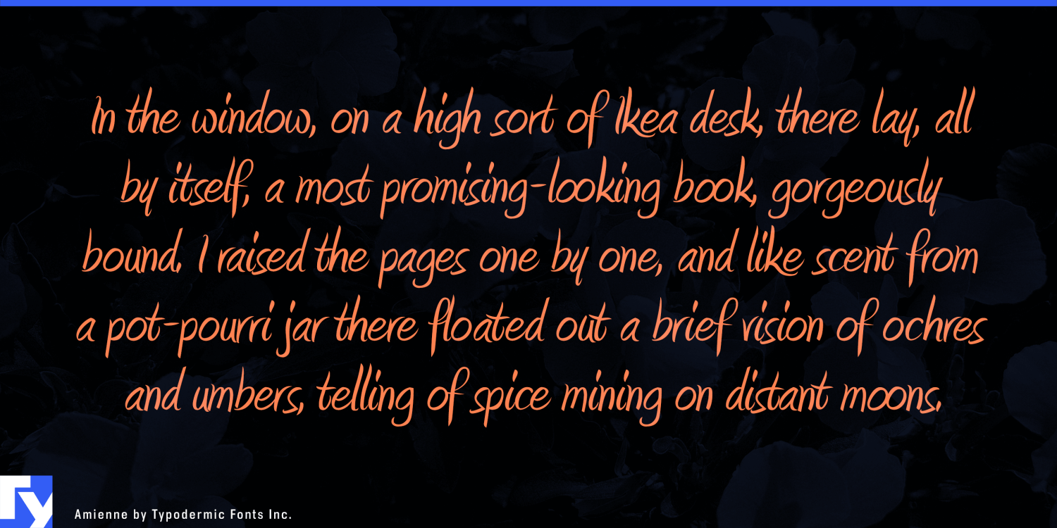 Amienne Font Poster #1