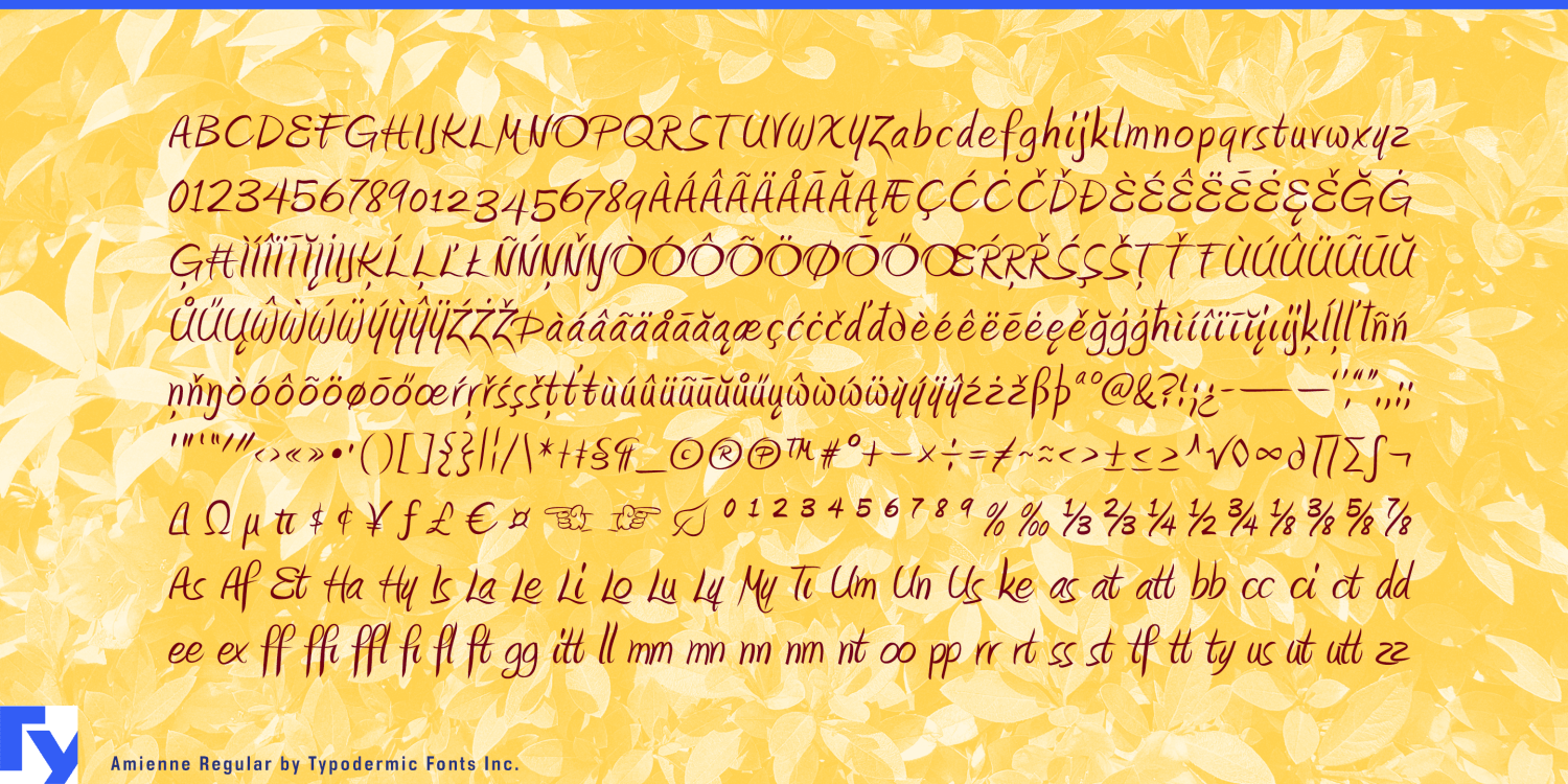 Amienne Font Poster #1