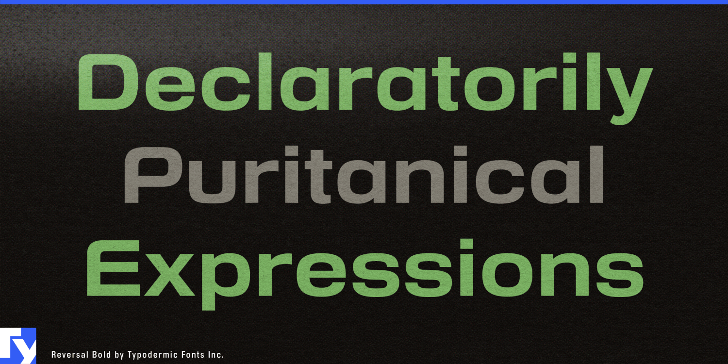 Reversal Font Poster #1