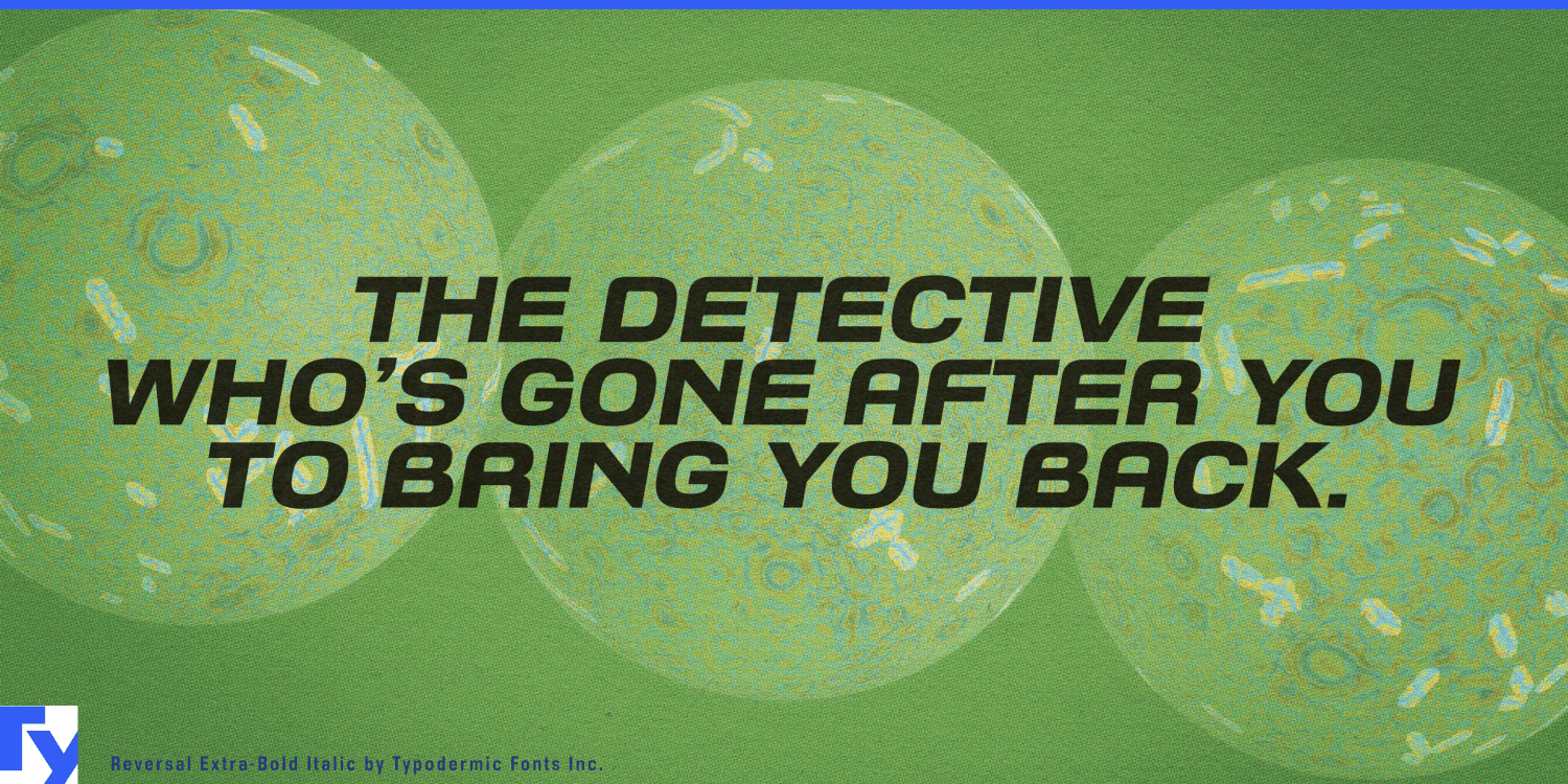 Reversal Font Poster #1