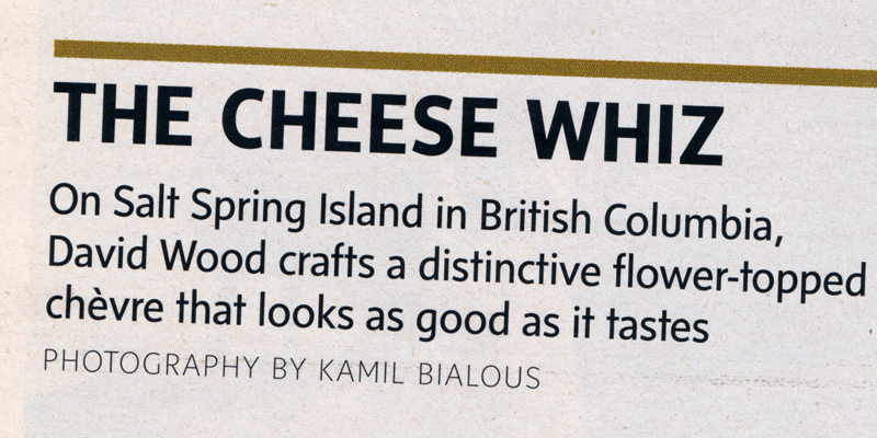 Sense Font Poster #1