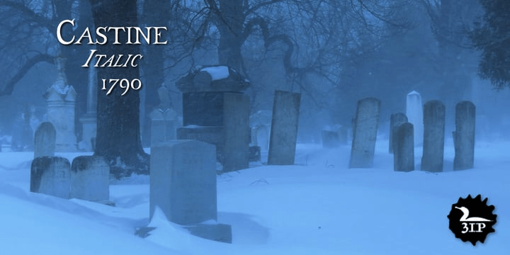 Castine Font Poster #1