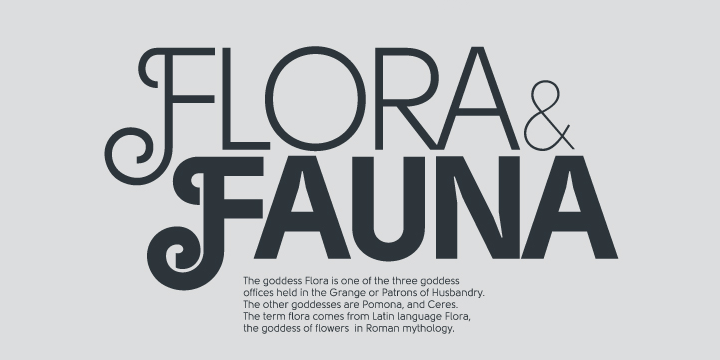 Solomon Font Poster #1