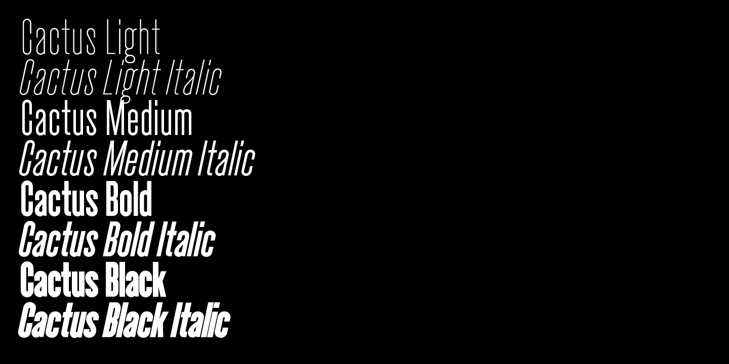Cactus Font Poster #1