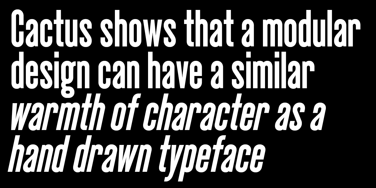 Cactus Font Poster #1