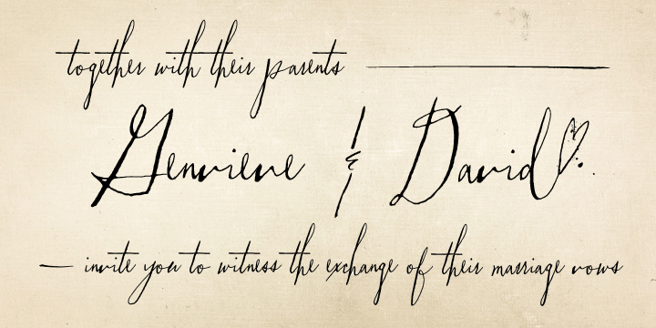 Vermandois Font Poster #1