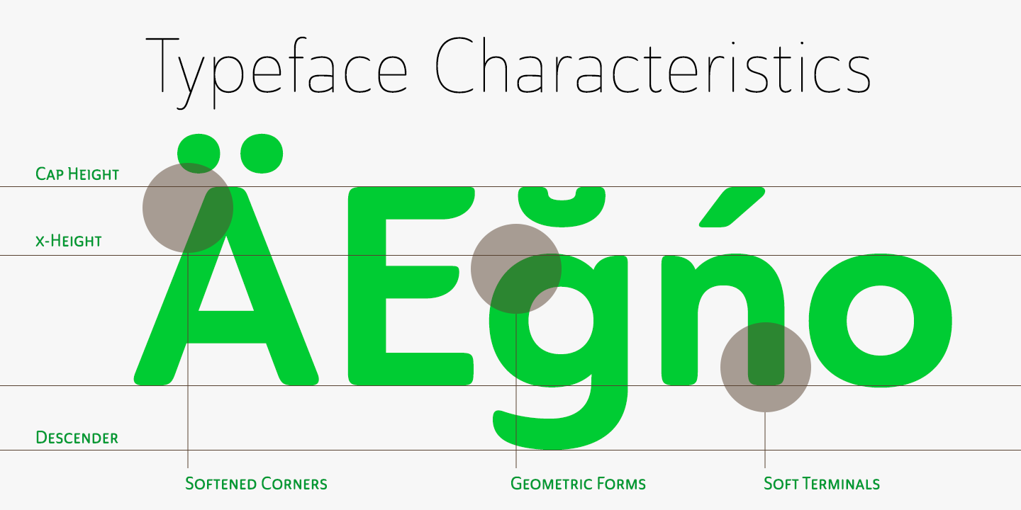 Ainslie Sans Font Poster #1