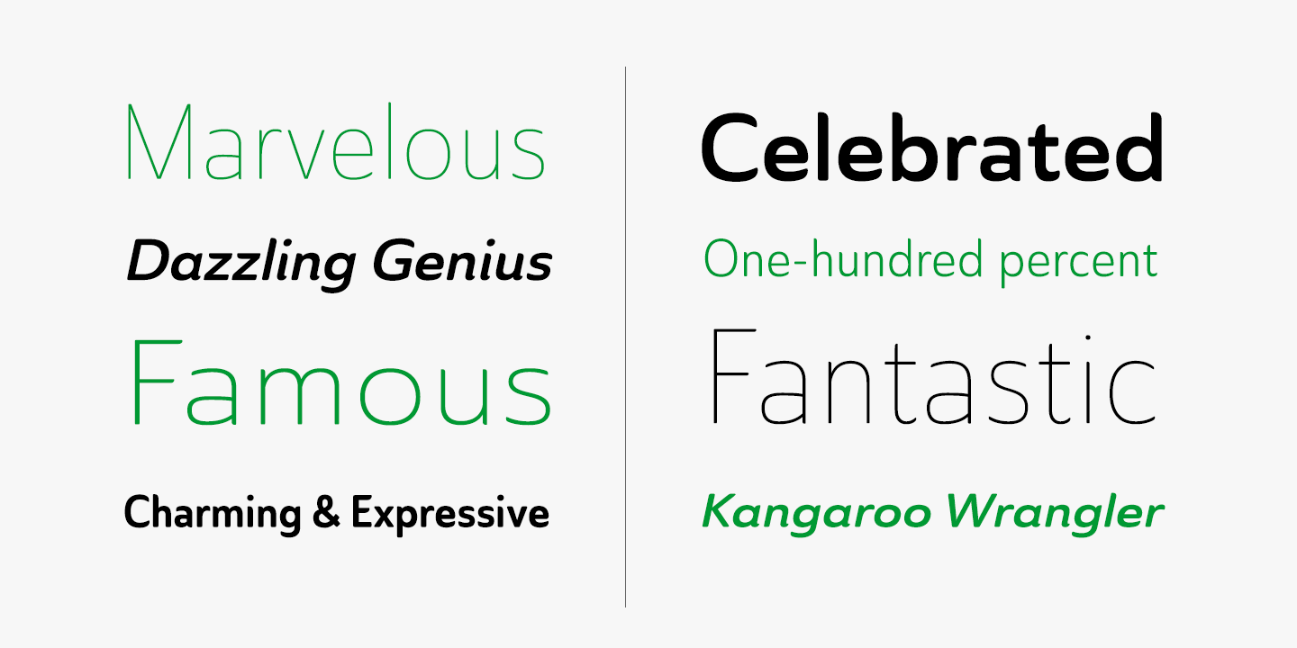 Ainslie Sans Font Poster #1