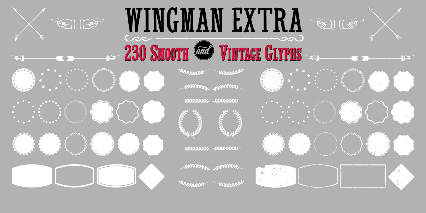 Wingman Font Poster #1