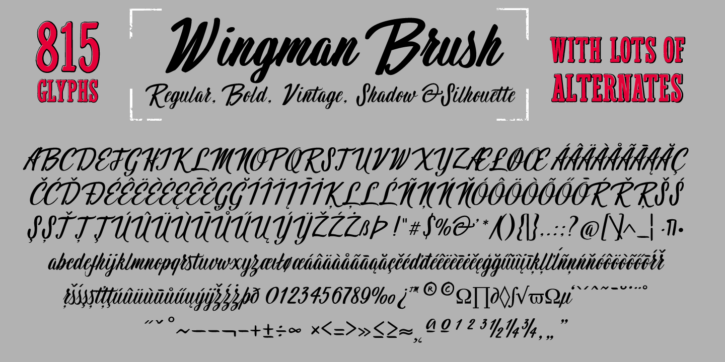 Wingman Font Poster #1