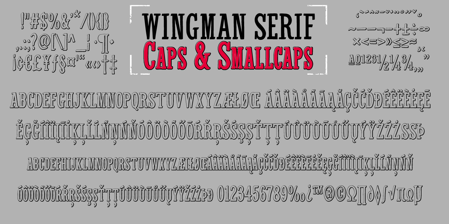 Wingman Font Poster #1
