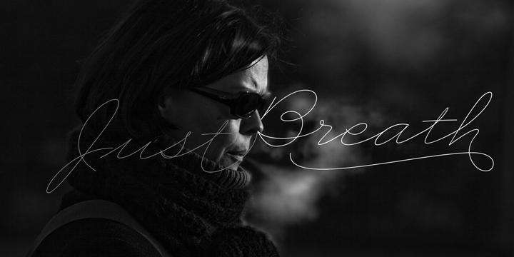 Business Penmanship Font Poster #1