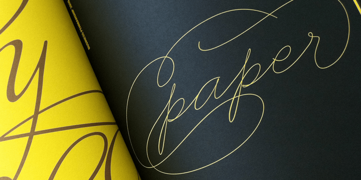 Business Penmanship Font Poster #1