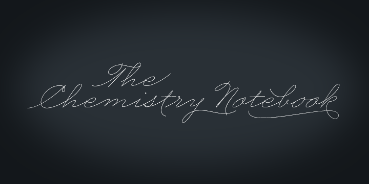 Business Penmanship Font Poster #1
