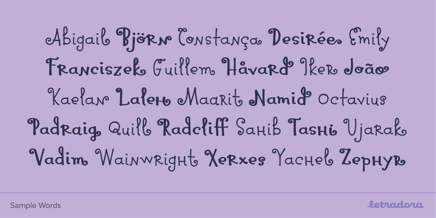Pocket Swash Font Poster #1