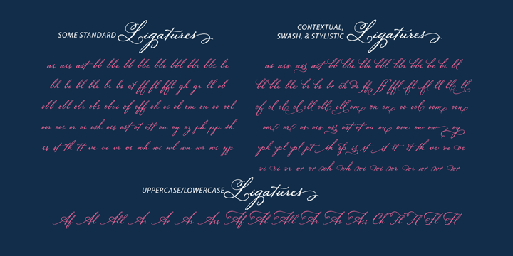 Solantra Pro Font Poster #1