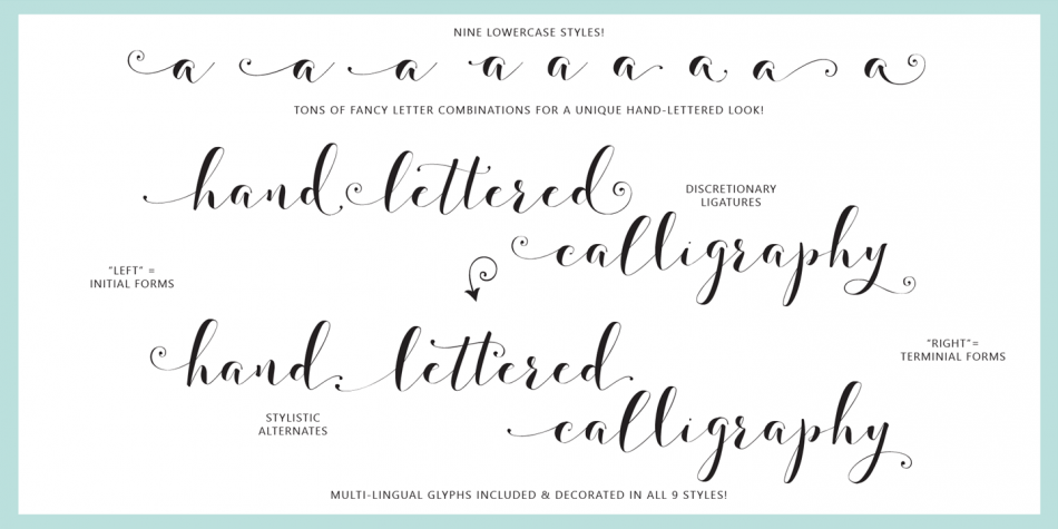 Fashionista Black Font Poster #1