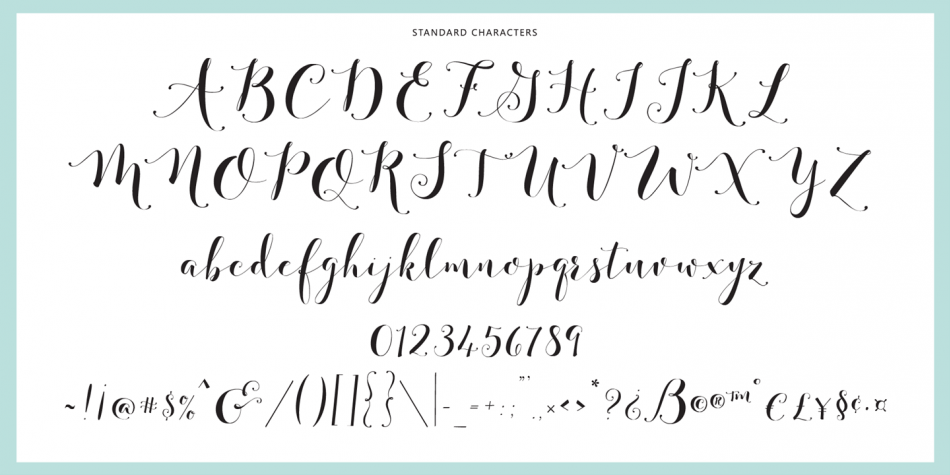 Fashionista Black Font Poster #1