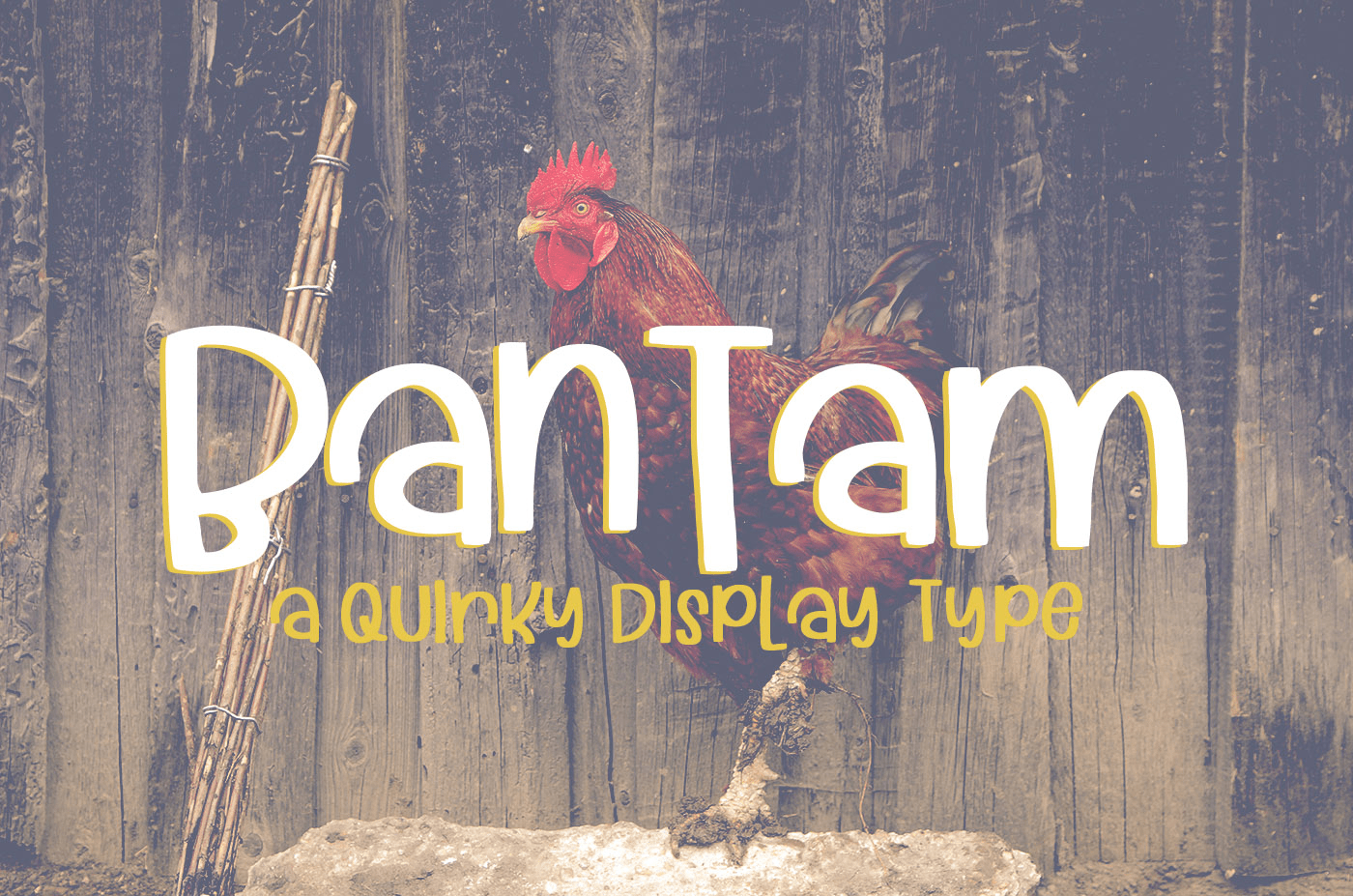 Bantam Font Family Poster