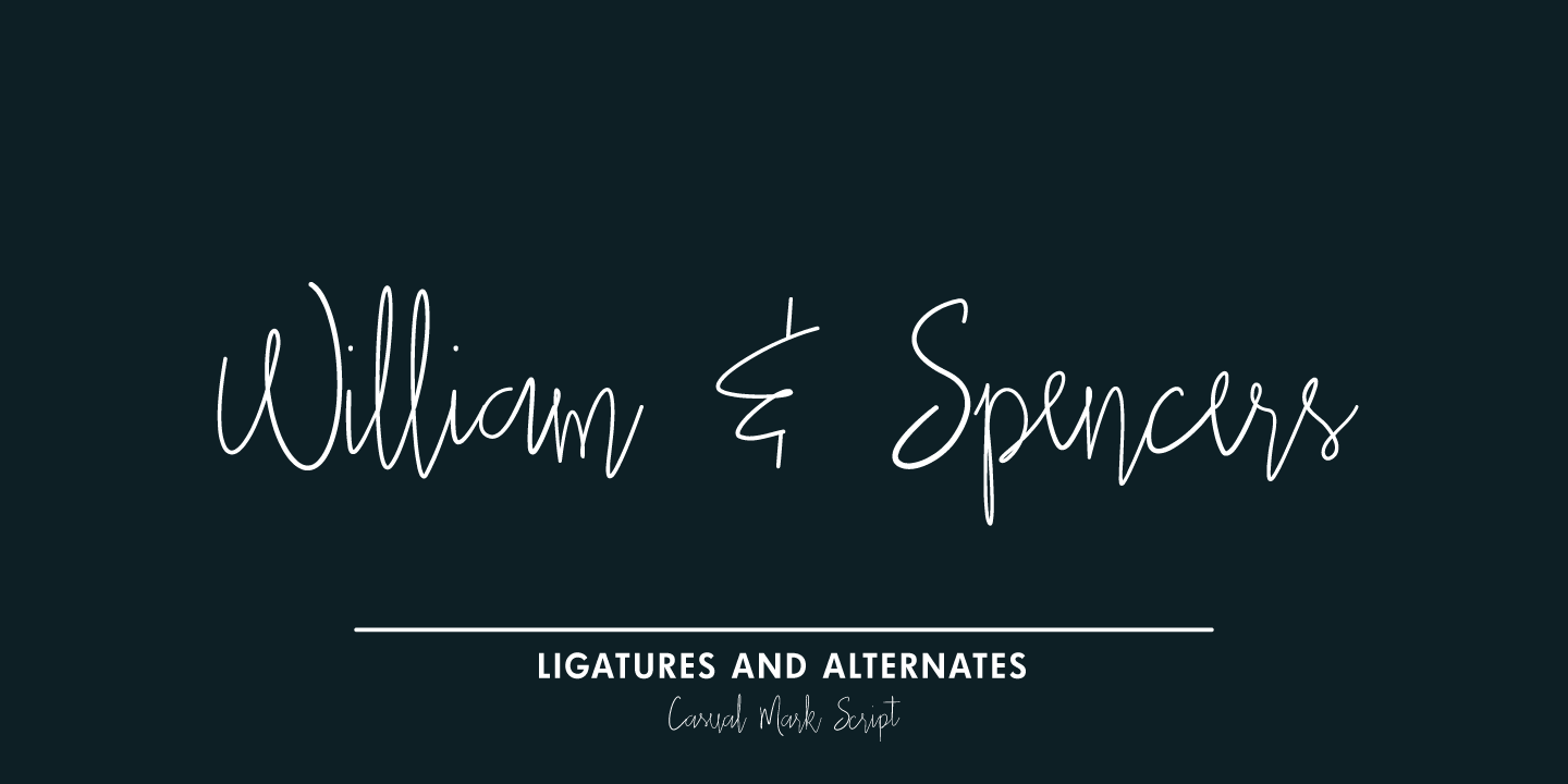 Casual Mark Script Font Poster #1