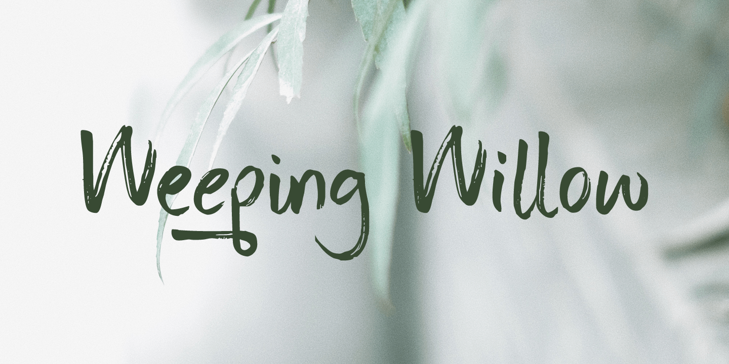 Weeping Willow Font Poster #1