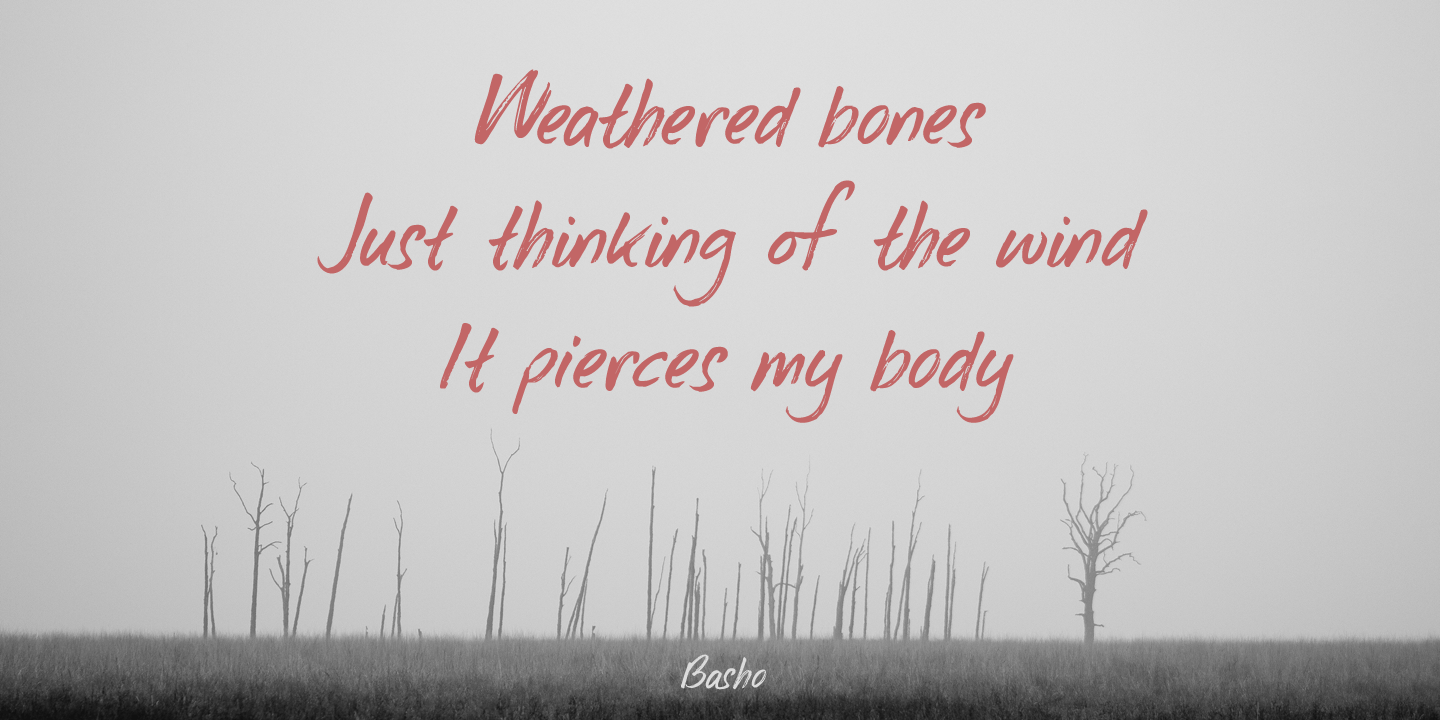 Weeping Willow Font Poster #1