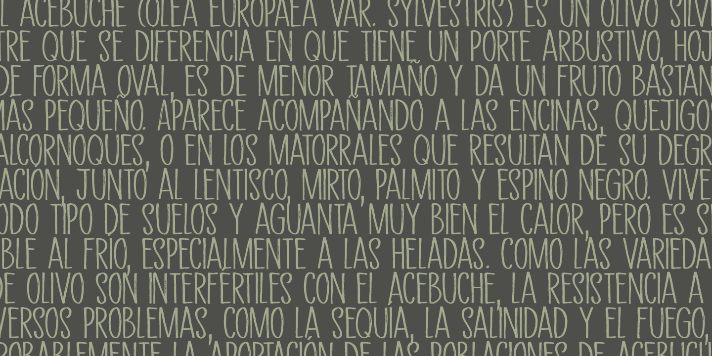 Aceituna Font Poster #1