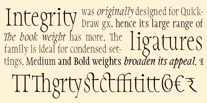Integrity Pro Font Poster #1