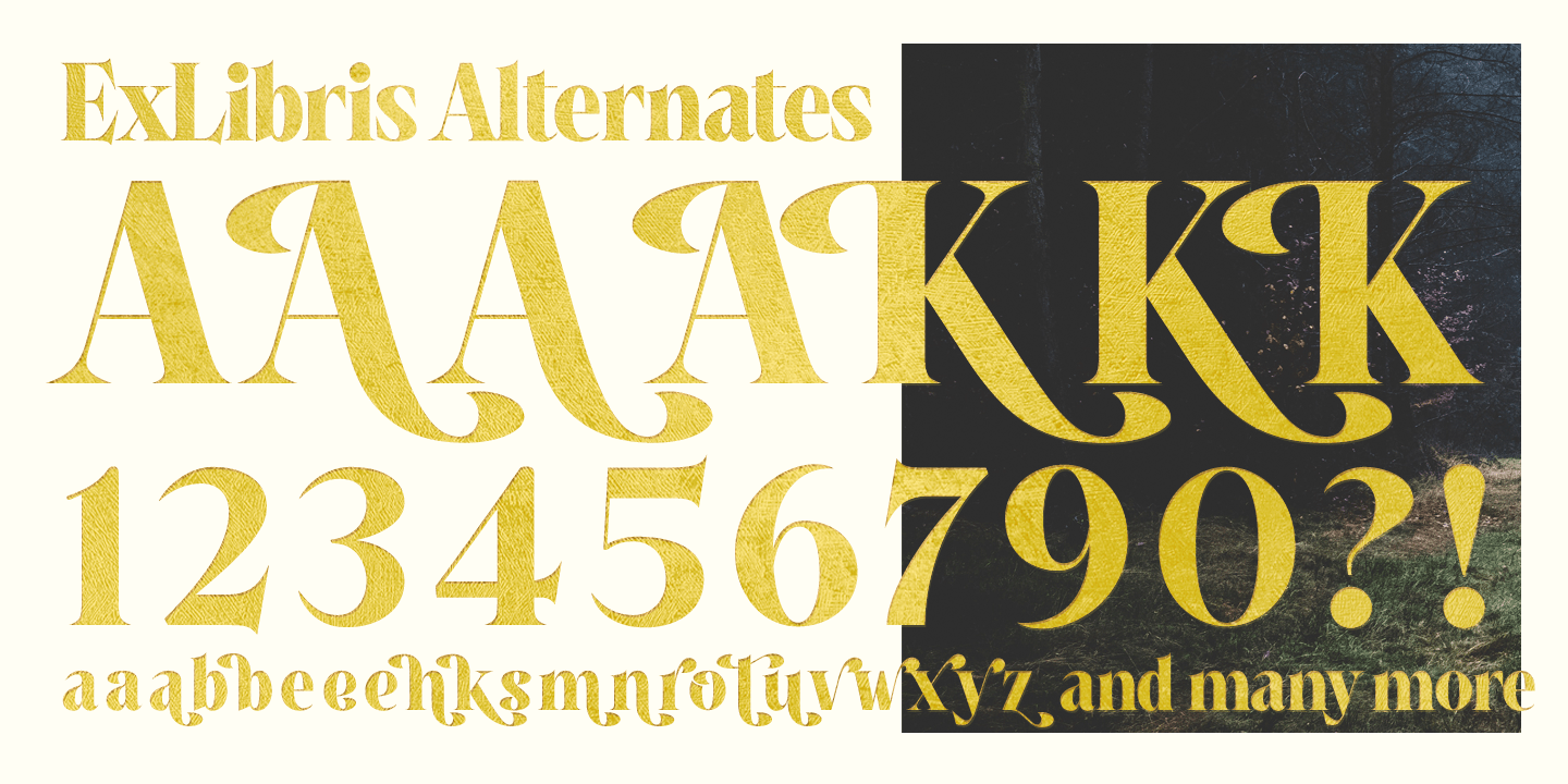 Ex Libris Font Poster #1