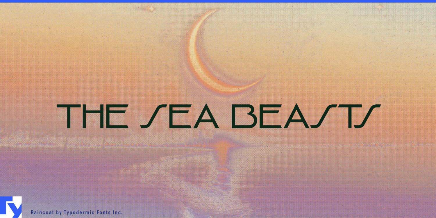 Raincoat Font Poster #1