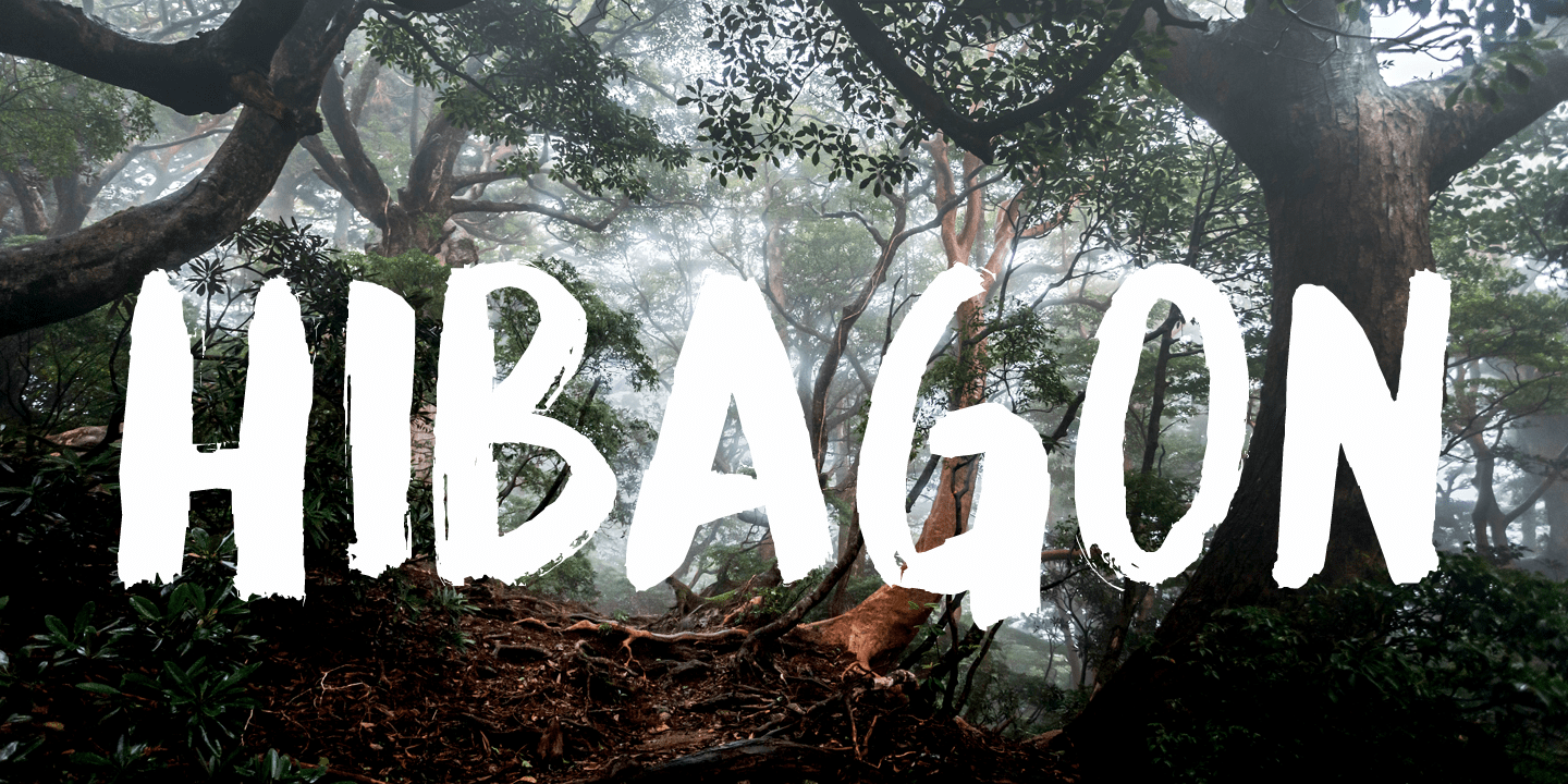 Hibagon Font Poster #1