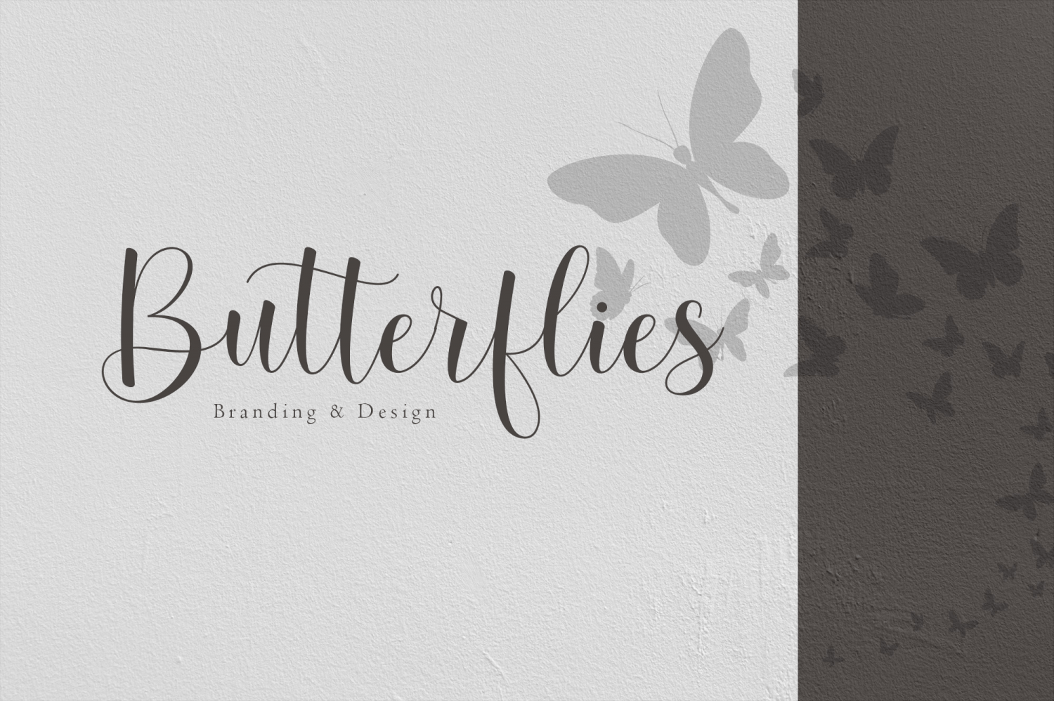 Betterday Script Font Poster #1