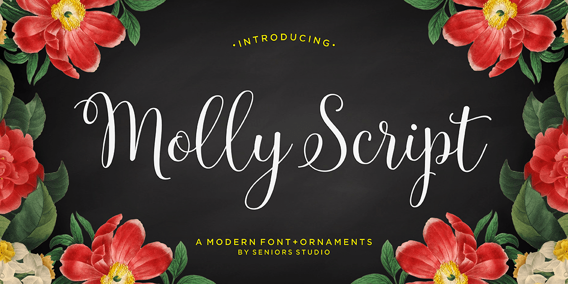 Molly Script Font Poster #1