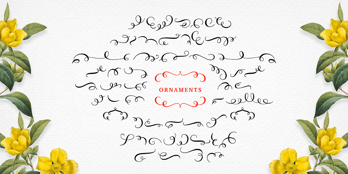 Molly Script Font Poster #11