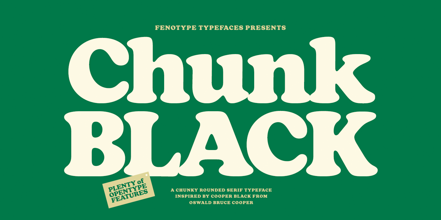 Chunk Black Font Family Poster