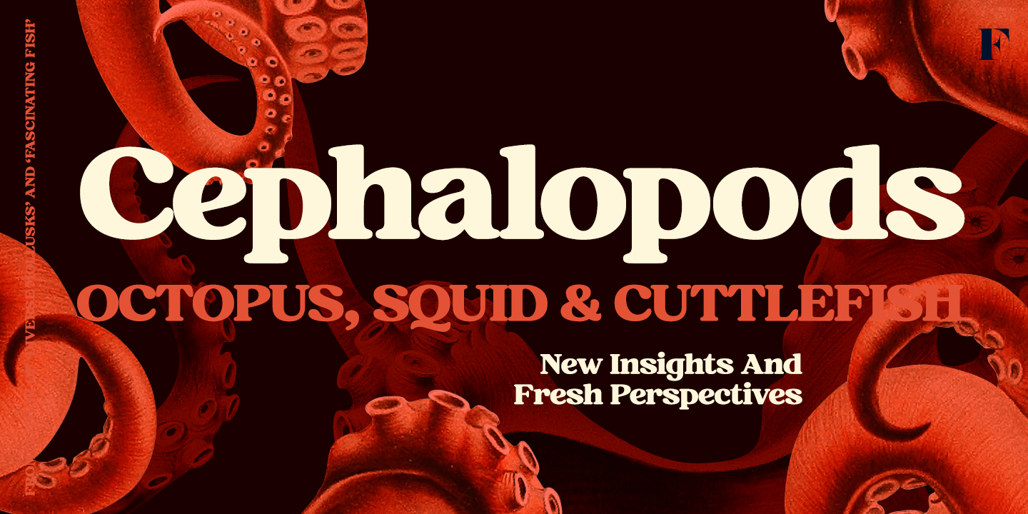 Hawkins Font Poster #1