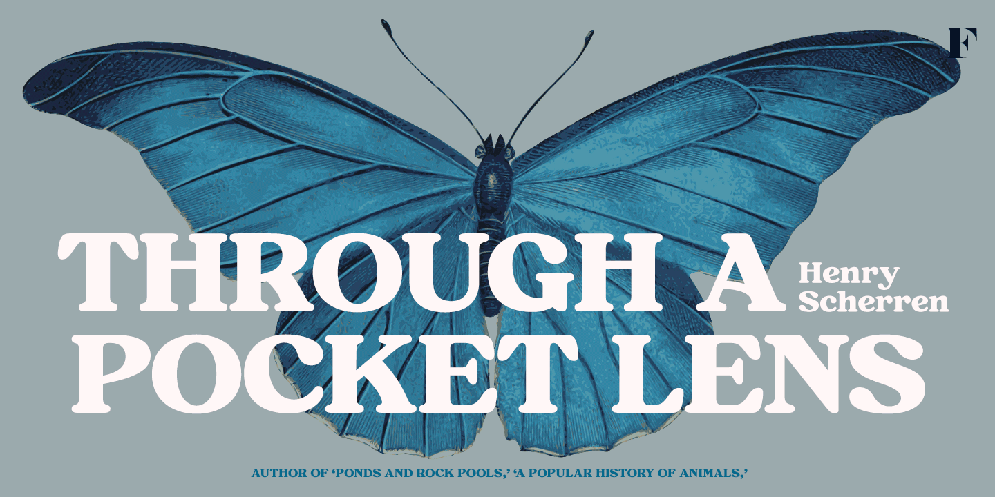 Hawkins Font Poster #1