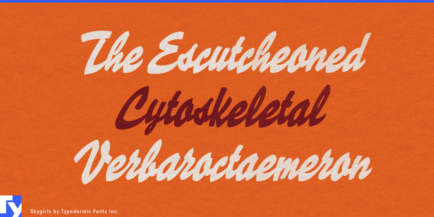 Skygirls Font Poster #1